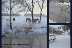 Winter_in_Westerhaar_januari_2010