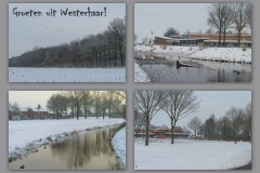 Winter_in_Westerhaar_januari_20101